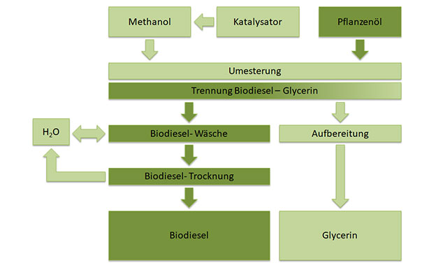 Biodiesel Herstellung Produktion