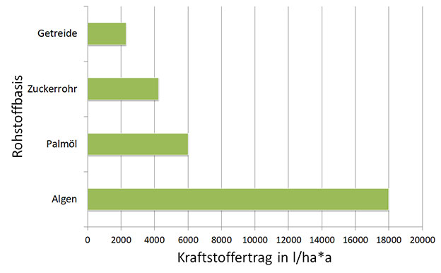 Kraftstoff aus Algen Kraftstoffertrag