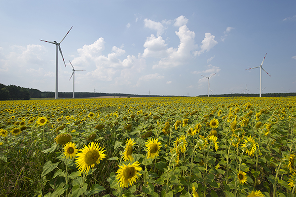 Greenpeace Energy Windpark Buchhain