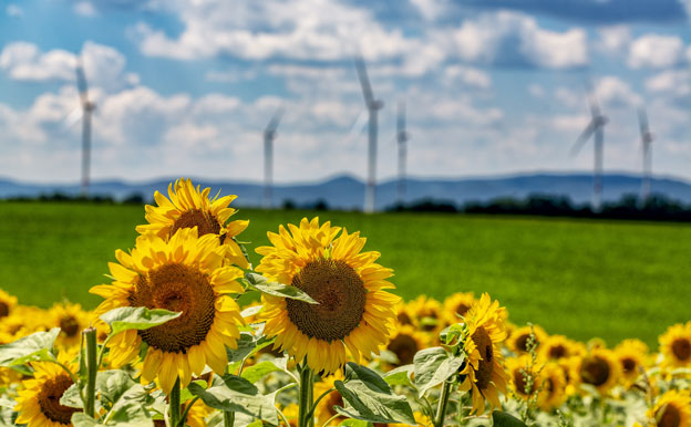 Titelbils Sonnenblumen Windräder Windkraft